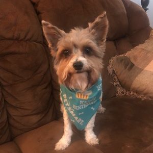 Meet your Posher, Tori